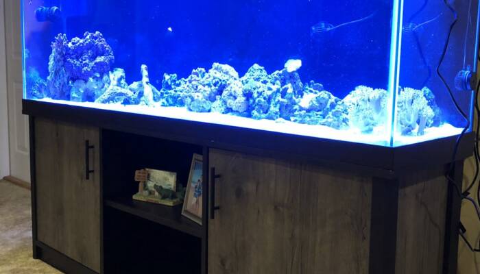 Aqueon Aquarium 125 Gallon For Sale | Perfect for Exotic Fish | Ranch of Exotic Breeds