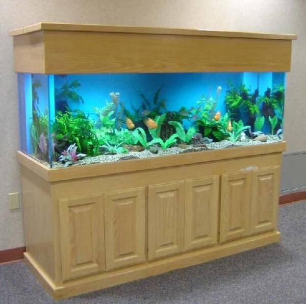 300 gallon rectangle aquarium