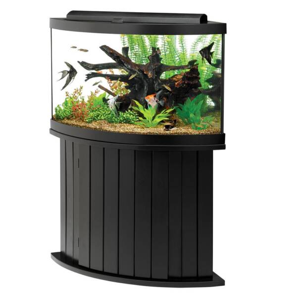 Aqueon 54 Gallon Aquarium for Sale – Perfect for Fish Enthusiasts | Ranch Of Exotic Breeds