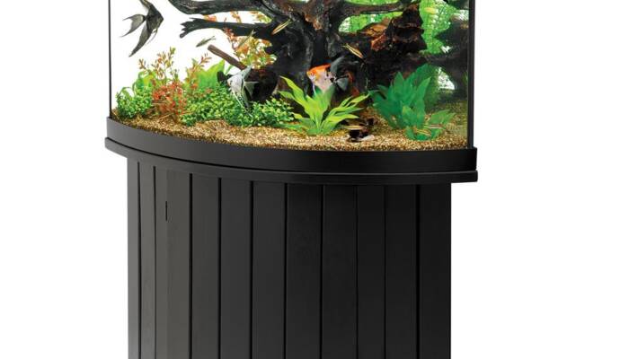 Aqueon 54 Gallon Aquarium