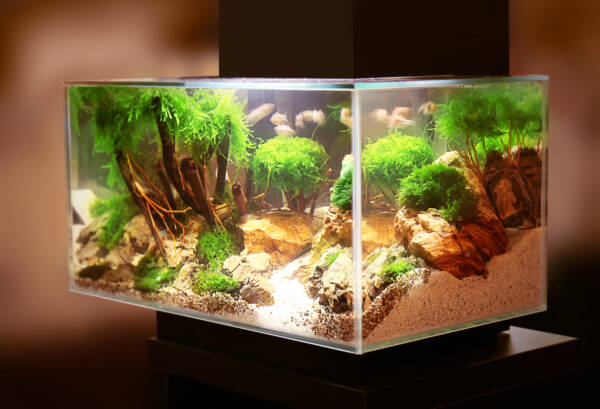 100 gallon rectangle aquarium tanks for sale