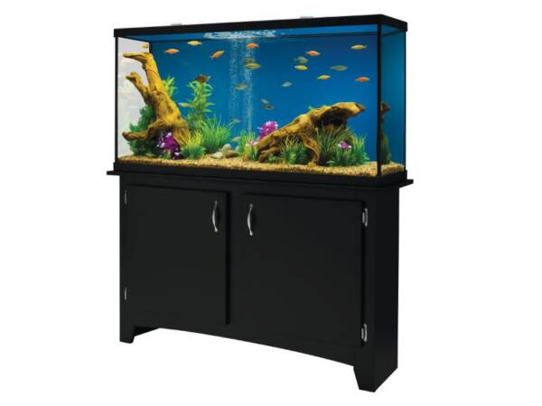 Heartland LED 60 Gallon Aquarium – Premium Aquarium Tank for Your Aquatic Pets | Ranch Of Exotic Breeds