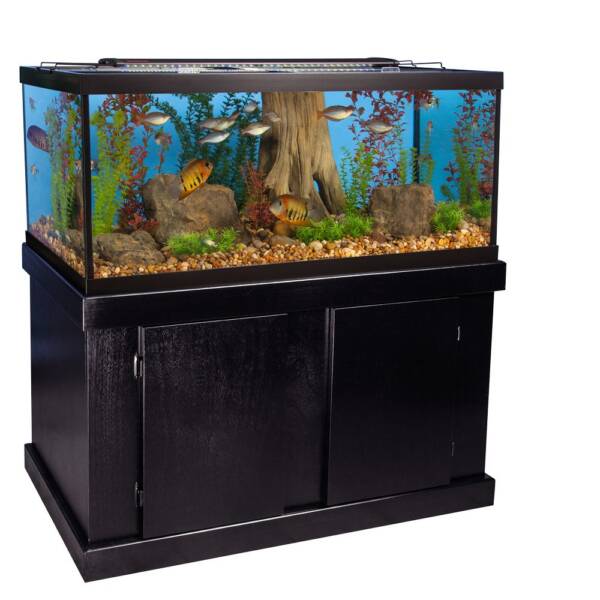 Majesty Aquarium Stand Ensemble 75 Gallon