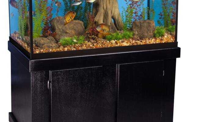 Majesty Aquarium Stand Ensemble 75 Gallon