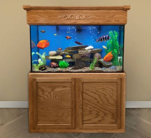 100 gallon rectangle aquarium tanks for sale